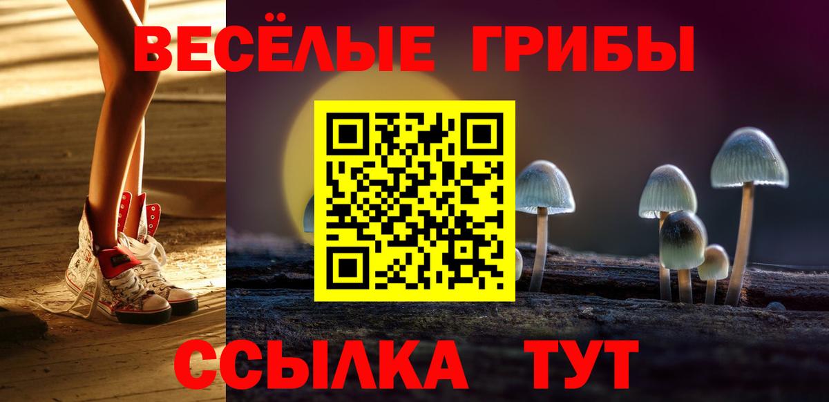 Галлюциногенные грибы Psilocybe  Галлюциногенные грибы MAGIC MUSHROOMS  Вход с VPN  Джанкой 